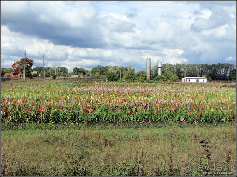 Белогорье, Киев, ЧАЭС, Припять, Одесса, Приднестровье. День 5.
