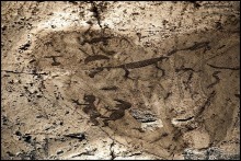 Карелия 2011: Петроглифы трех мысов