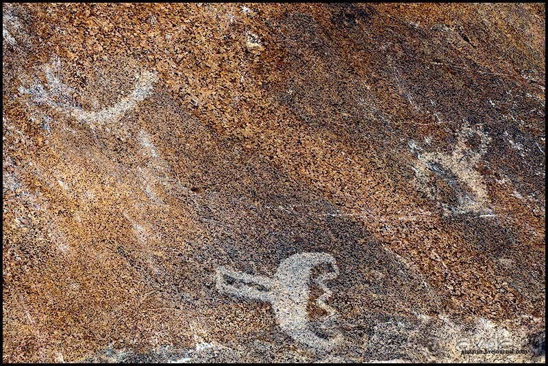 Карелия 2011: Петроглифы трех мысов