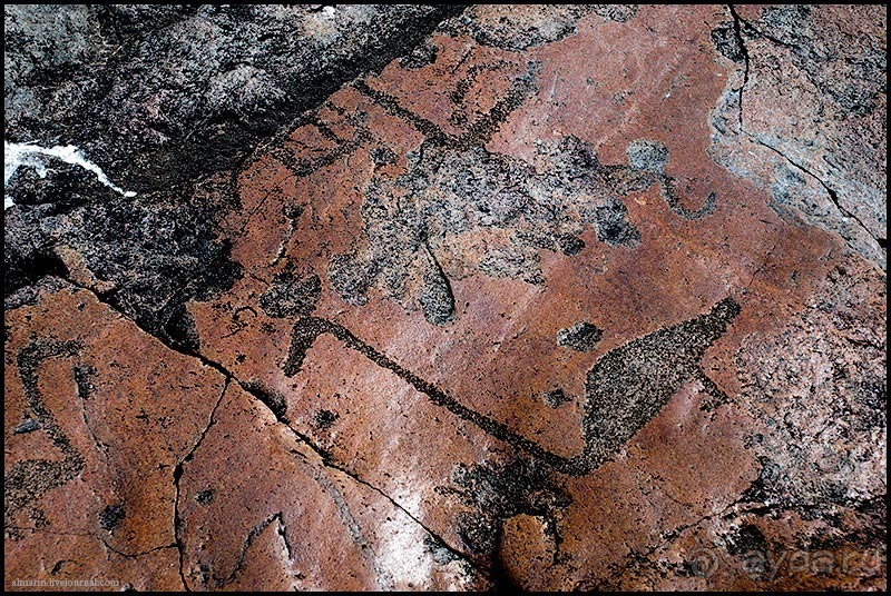 Карелия 2011: Петроглифы трех мысов