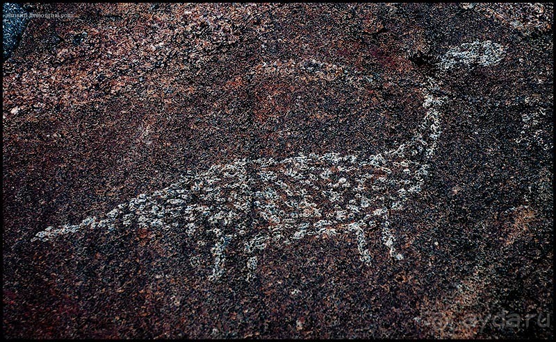 Карелия 2011: Петроглифы трех мысов