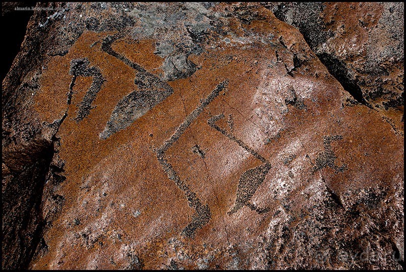 Карелия 2011: Петроглифы трех мысов