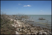 Майские степи 2010. Экспедиция в Калмыкию. ч.2 Эльтон.