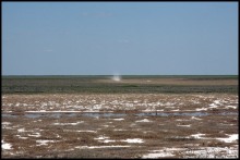 Майские степи 2010. Экспедиция в Калмыкию. ч.2 Эльтон.