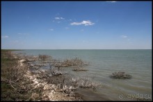 Майские степи 2010. Экспедиция в Калмыкию. ч.2 Эльтон.