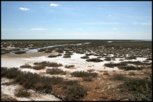 Майские степи 2010. Экспедиция в Калмыкию. ч.2 Эльтон.