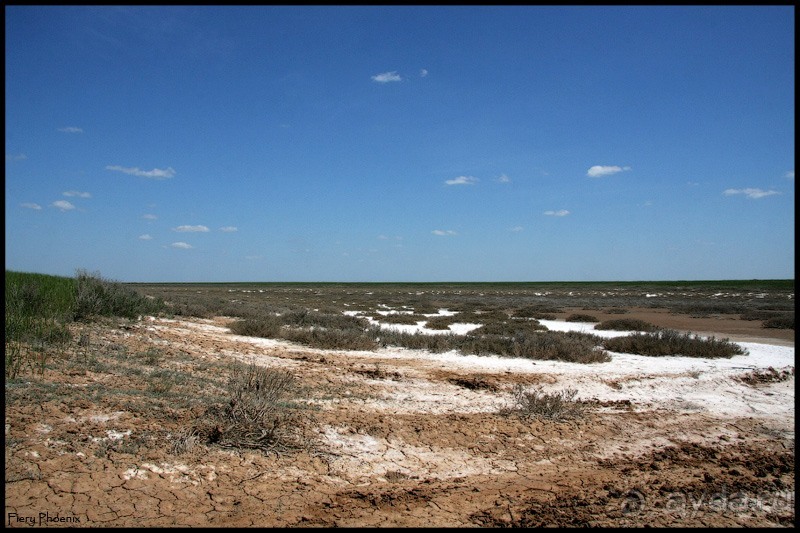 Майские степи 2010. Экспедиция в Калмыкию. ч.2 Эльтон.