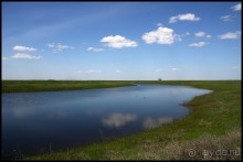 Майские степи 2010. Экспедиция в Калмыкию. ч.2 Эльтон.