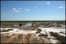 Майские степи 2010. Экспедиция в Калмыкию. ч.2 Эльтон.