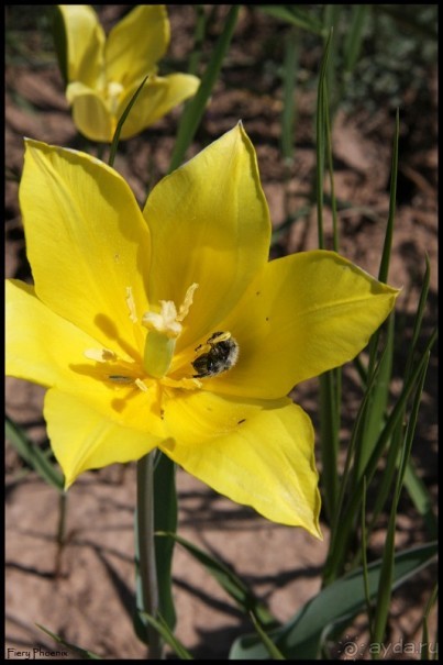 Майские степи 2010. Экспедиция в Калмыкию. ч.2 Эльтон.