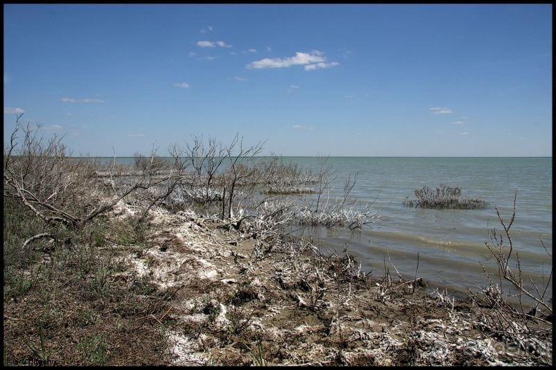 Майские степи 2010. Экспедиция в Калмыкию. ч.2 Эльтон.