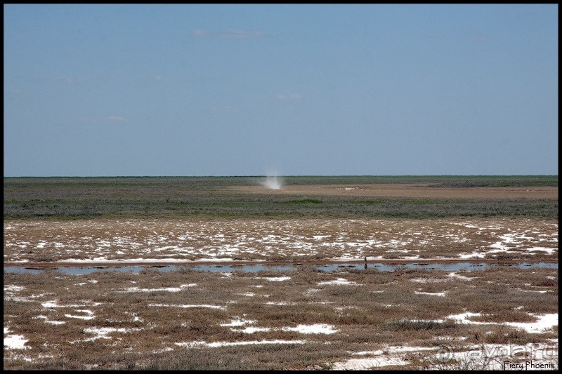 Майские степи 2010. Экспедиция в Калмыкию. ч.2 Эльтон.