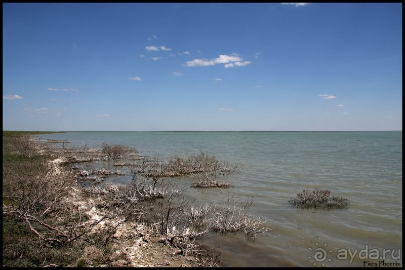 Майские степи 2010. Экспедиция в Калмыкию. ч.2 Эльтон.