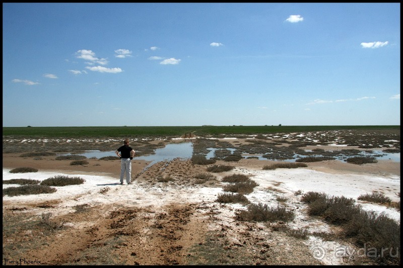 Майские степи 2010. Экспедиция в Калмыкию. ч.2 Эльтон.
