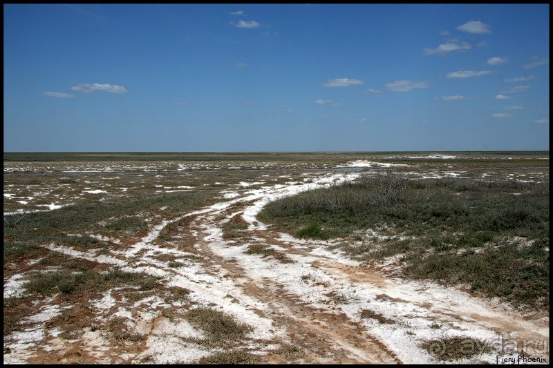 Майские степи 2010. Экспедиция в Калмыкию. ч.2 Эльтон.