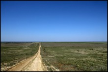 Майские степи 2010. Экспедиция в Калмыкию. ч.1 Волгоград.
