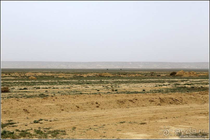 Узбекистан 2014. Непростая страна-квест. Часть 1.