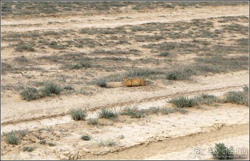 Узбекистан 2014. Непростая страна-квест. Часть 1.