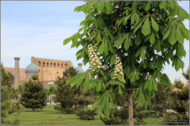 Узбекистан 2014. Непростая страна-квест. Часть 3. 1/3