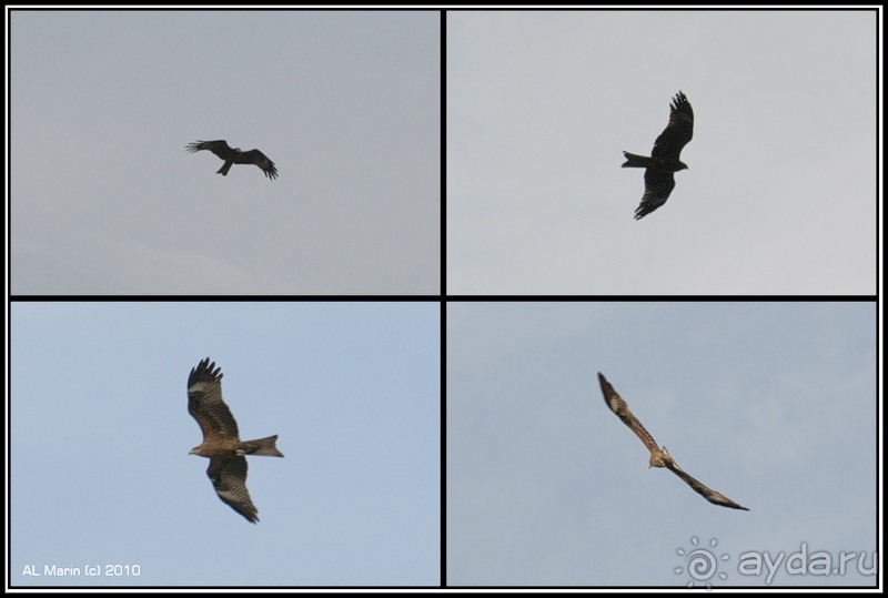 Алтай 2010: В поисках Шамбалы. Часть 2.День 5. Бийск.