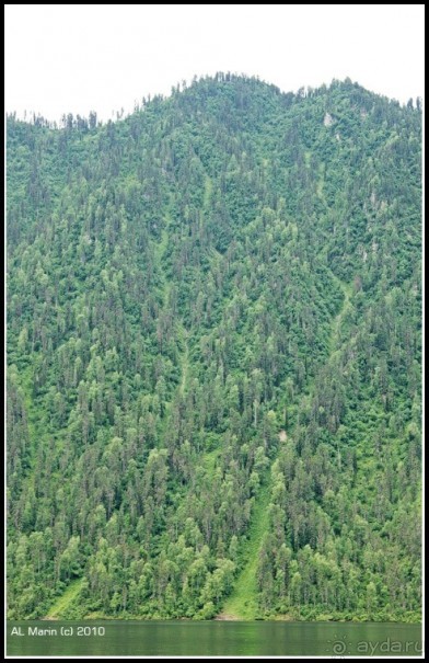 Алтай 2010: В поисках Шамбалы. Часть 10. Окончание.День 13. Водопады.