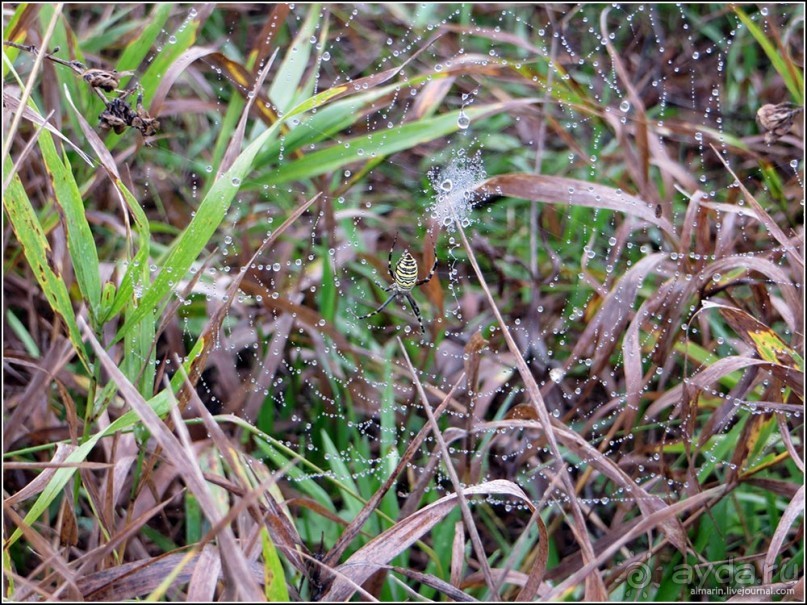 Белогорье, Киев, ЧАЭС, Припять, Одесса, Приднестровье. День 1 и 2.