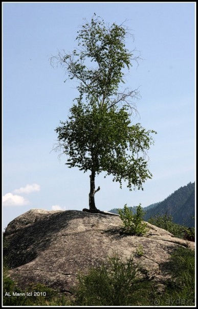 Алтай 2010: В поисках Шамбалы. Часть 7.День 10. Перевал, лебедка и маралы.