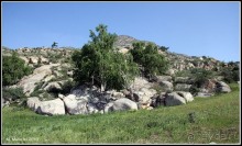 Алтай 2010: В поисках Шамбалы. Часть 7.День 10. Перевал, лебедка и маралы.