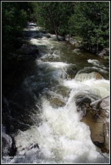 Алтай 2010: В поисках Шамбалы. Часть 7.День 10. Перевал, лебедка и маралы.