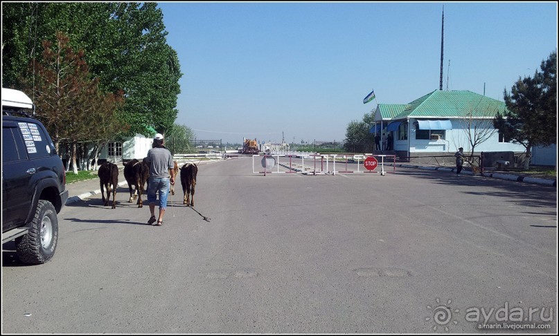 Узбекистан 2014. Непростая страна-квест. Часть 2.