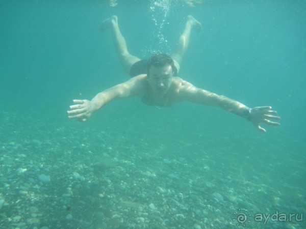 Черногория - Хорватия