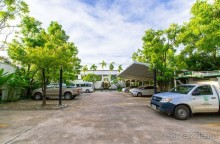 Таиланд "дикарем"