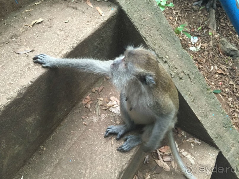 Таиланд "дикарем" - 2