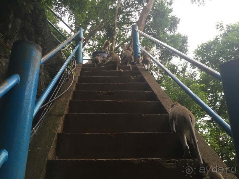 Таиланд "дикарем" - 2