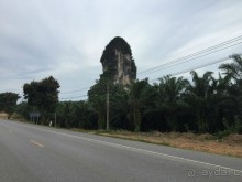 Таиланд "дикарем" - 2