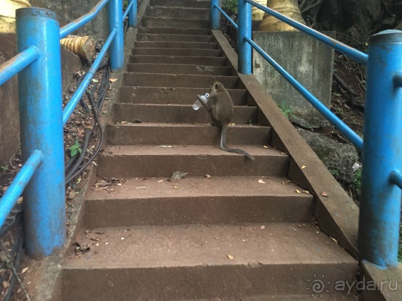 Таиланд "дикарем" - 2