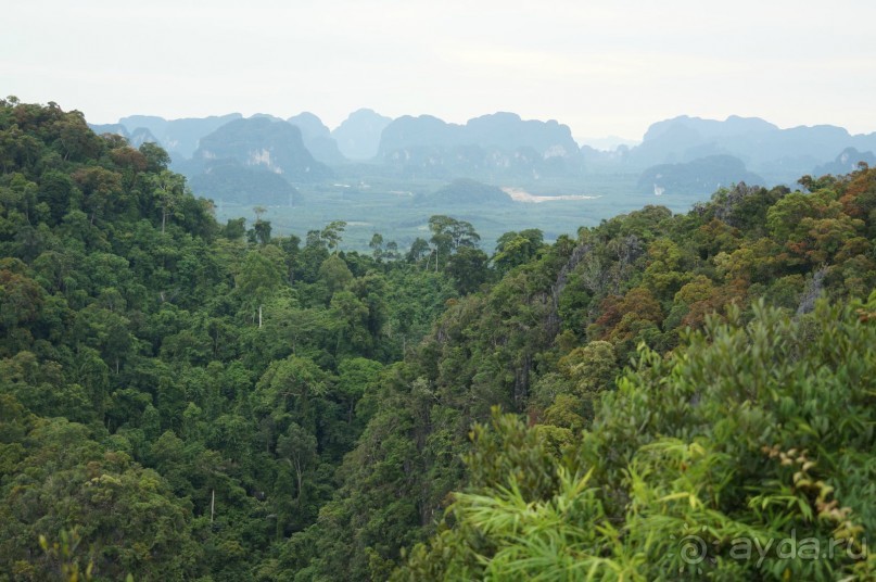 Таиланд "дикарем" - 2