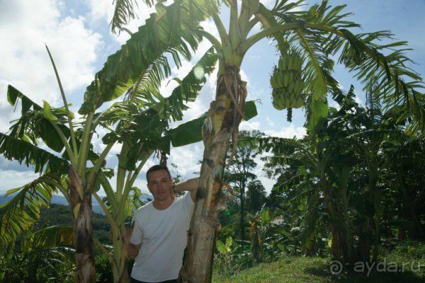 И снова Таиланд!