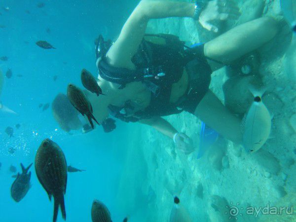 Турция. Неожиданно неплохо.