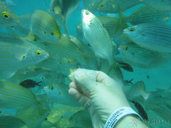 Турция. Неожиданно неплохо.