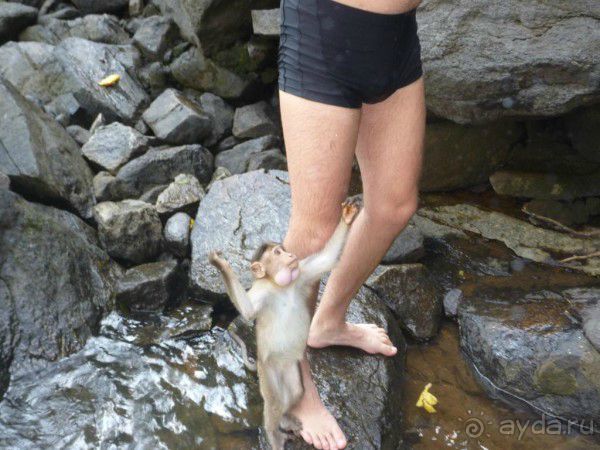 ГОА. Нормально :)