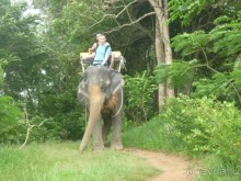 Меридиан, Пхукет