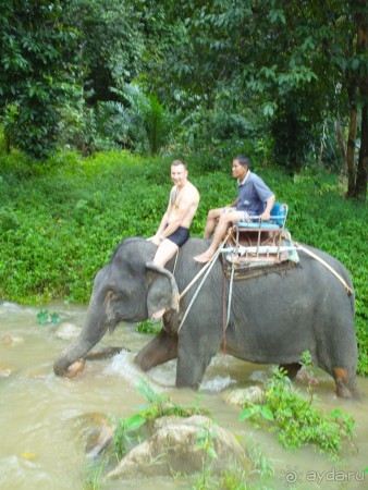 Меридиан, Пхукет