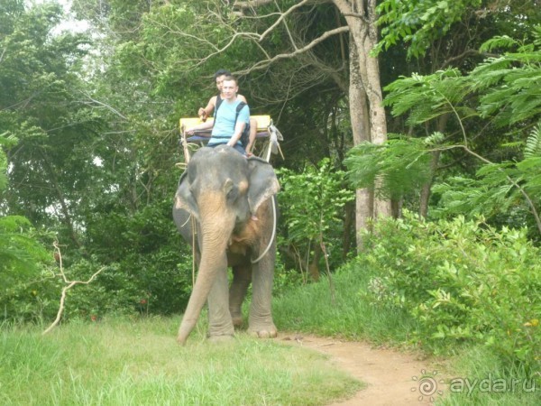 Меридиан, Пхукет