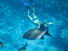 Первый раз в Шарм эль Шейхе