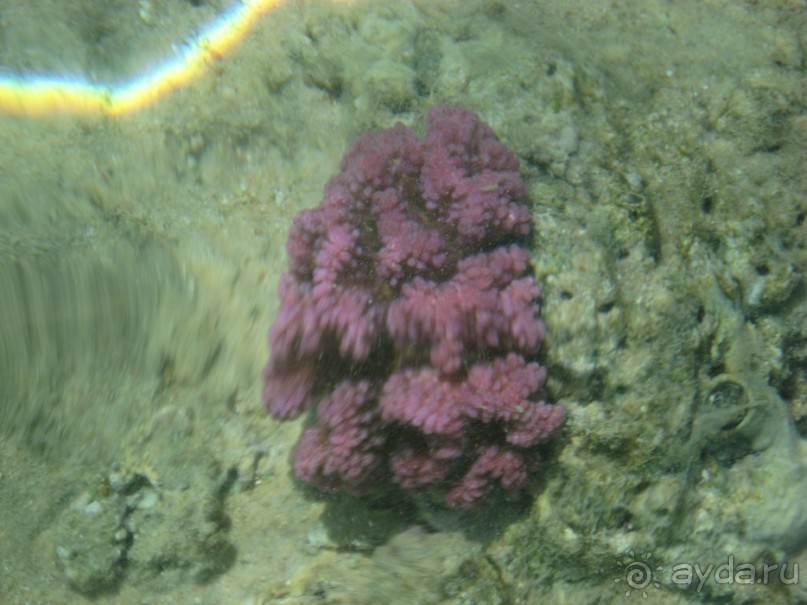 Первый раз в Шарм эль Шейхе