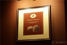 Путешествия из Волгограда в Одессу и в Крым