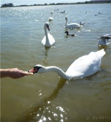 Путешествию в Украину из Волгограда