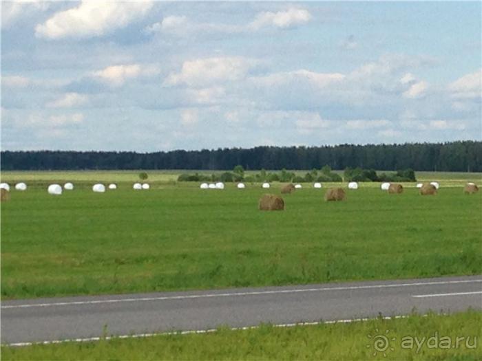 Волгоград - Беларусь - Волгоград
