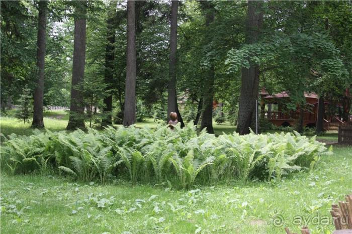 Волгоград - Беларусь - Волгоград